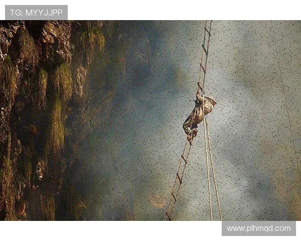 成都攀岩队引领热潮探索攀岩运动的节奏与变革之路