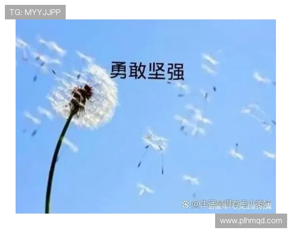 攀登梦想的巅峰：张娜与深度对话中的人生哲学与挑战经历